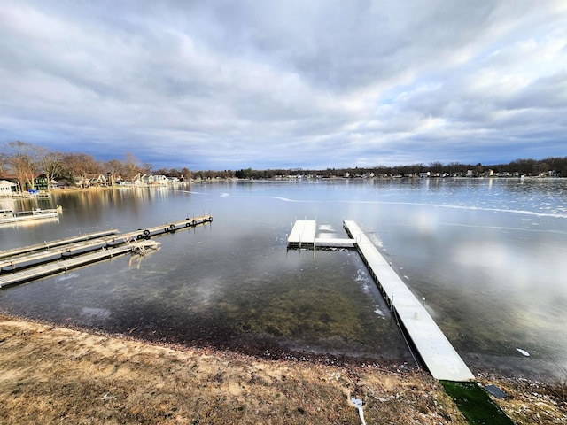 dock area with a water view