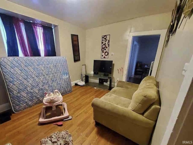 living room featuring hardwood / wood-style floors