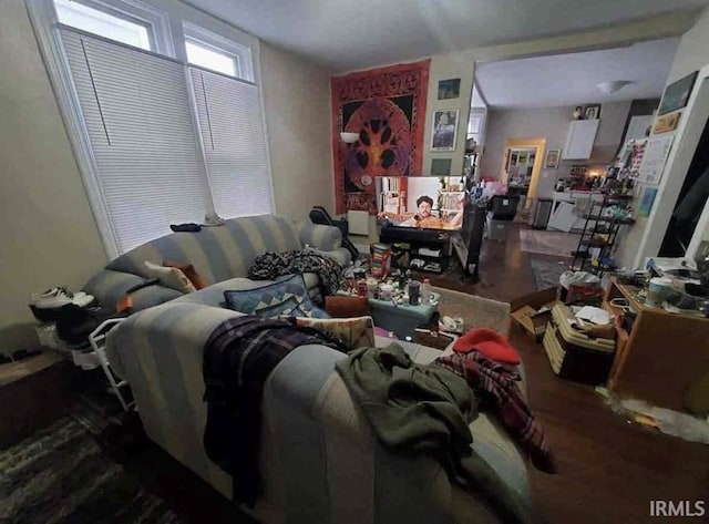 living room featuring hardwood / wood-style flooring