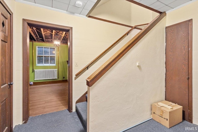 stairs featuring carpet, radiator, and ornamental molding