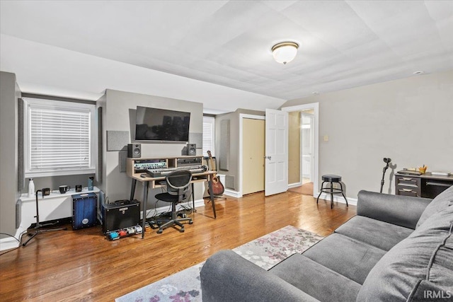 living room featuring wood-type flooring