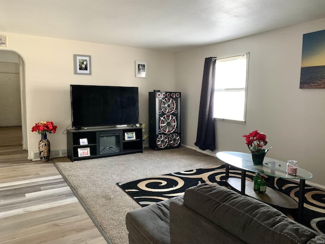 living room with wood-type flooring