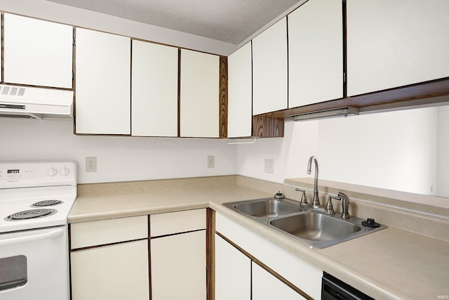 kitchen with white cabinetry, sink, white electric stove, ventilation hood, and a textured ceiling