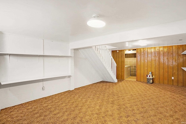 basement featuring carpet floors and wooden walls