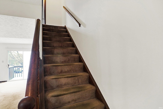 staircase featuring carpet