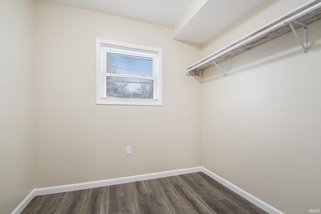 walk in closet with dark hardwood / wood-style floors