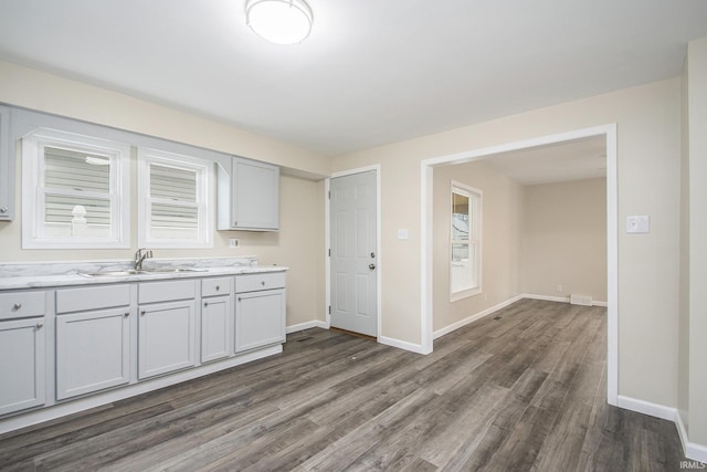 kitchen featuring plenty of natural light, sink, and dark wood-type flooring