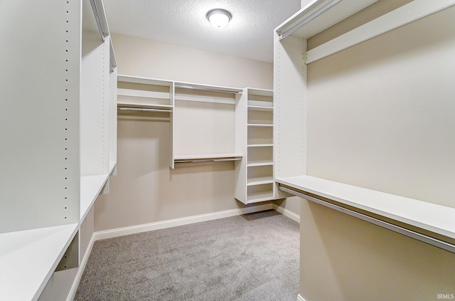 walk in closet featuring carpet floors