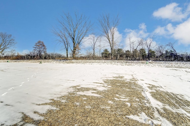 view of snowy yard