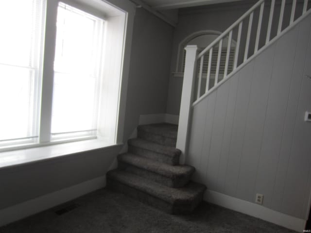 stairway with carpet floors and a wealth of natural light