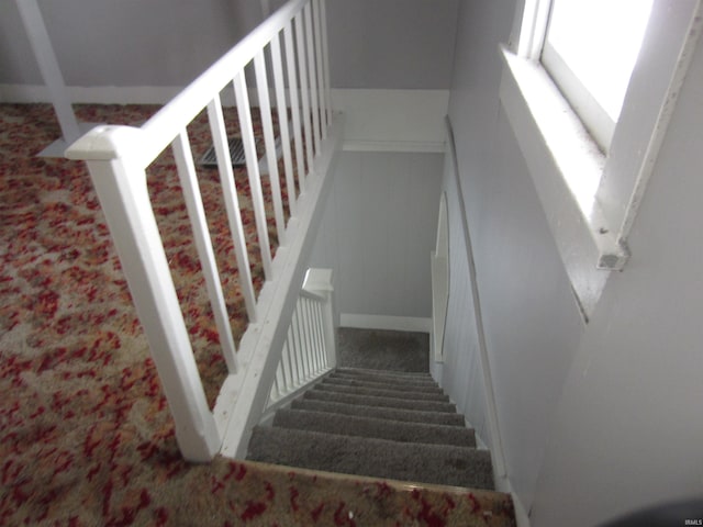 stairway featuring carpet floors