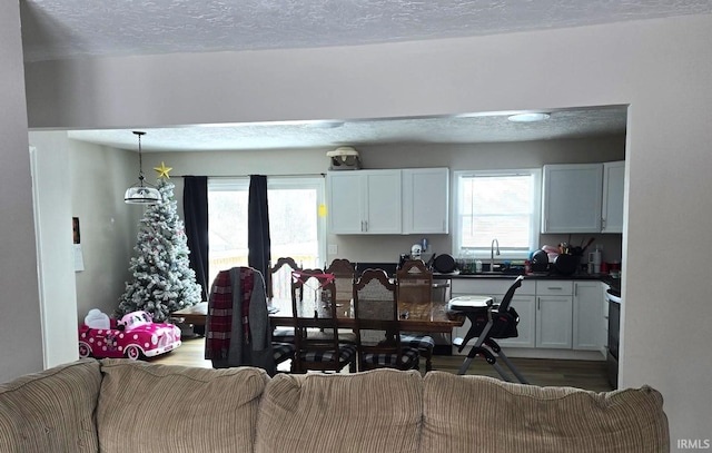 dining space with sink, wood-type flooring, and a textured ceiling