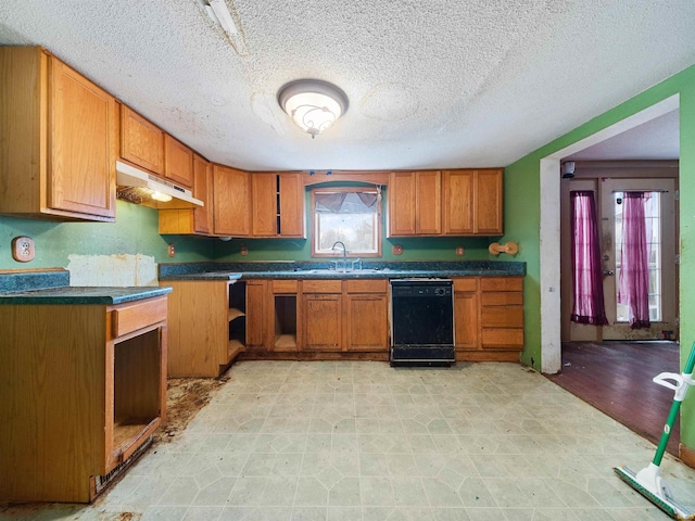 kitchen with a textured ceiling, dishwasher, and sink