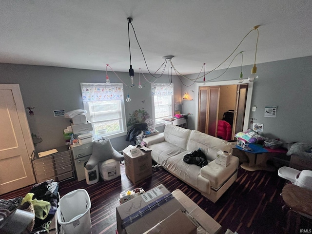 living room with dark hardwood / wood-style flooring