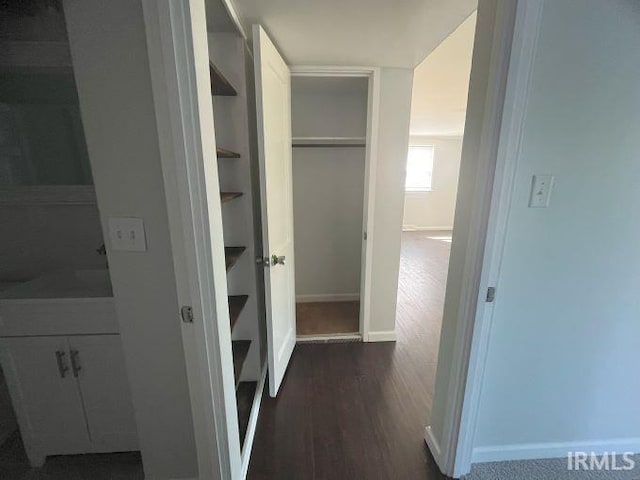 corridor featuring dark wood-type flooring