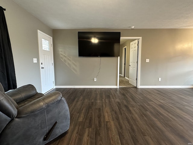 living room featuring dark hardwood / wood-style flooring