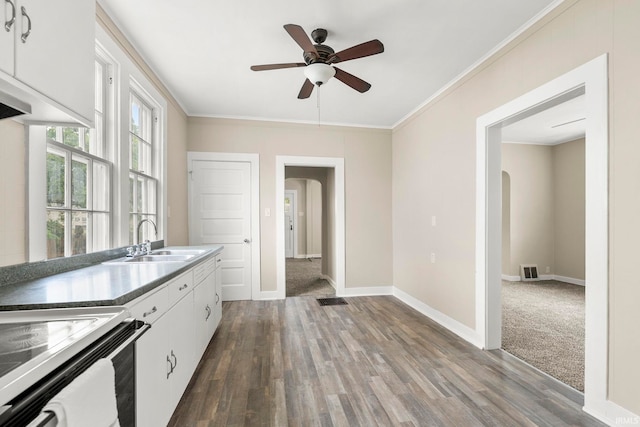 kitchen featuring carpet floors, sink, ceiling fan, ornamental molding, and white cabinetry