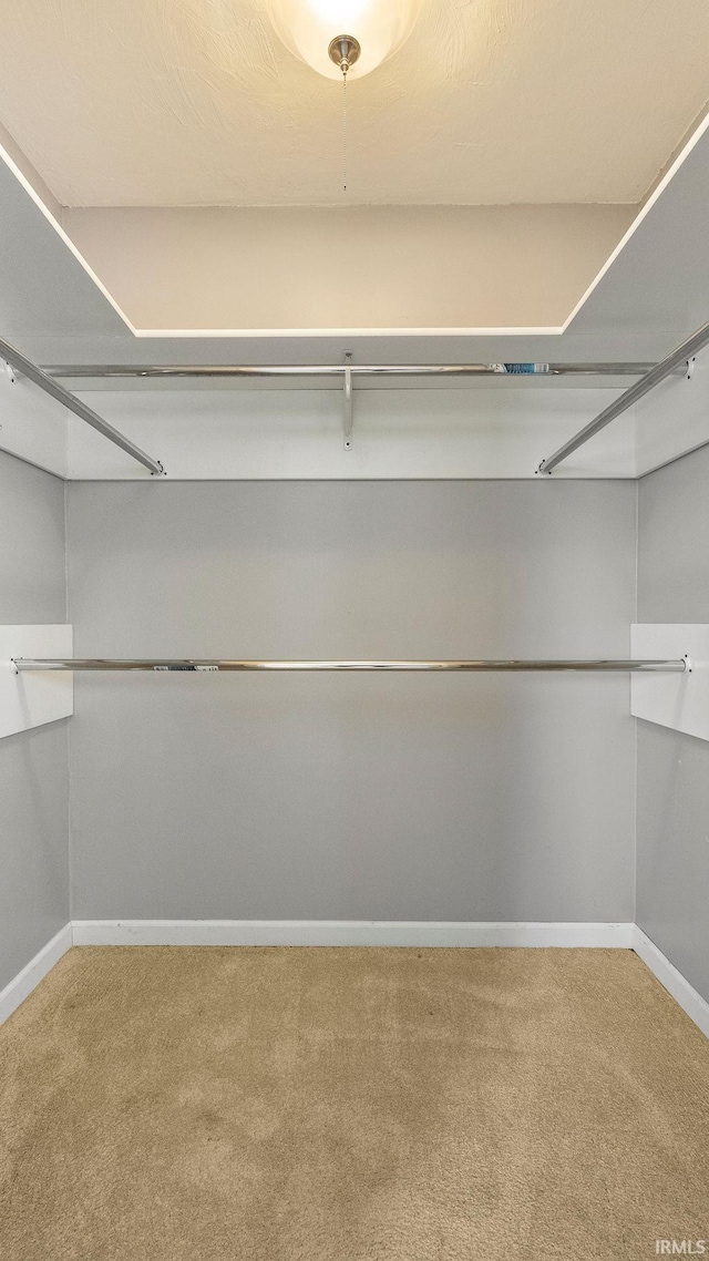 walk in closet with carpet