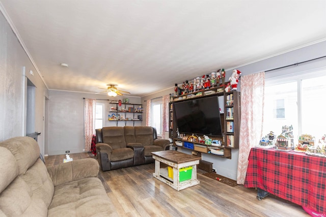 living room with hardwood / wood-style floors, ceiling fan, and ornamental molding