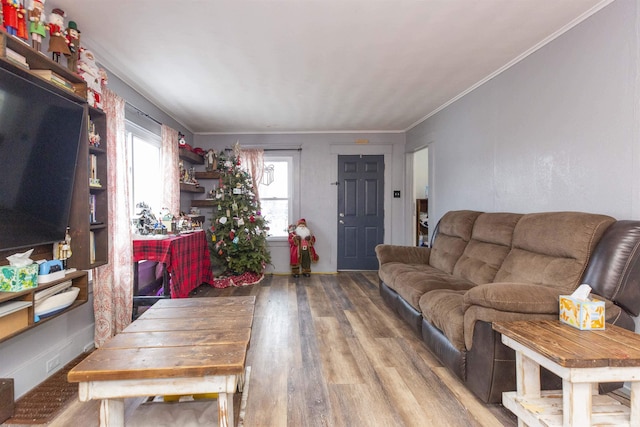 living room with light hardwood / wood-style floors and crown molding