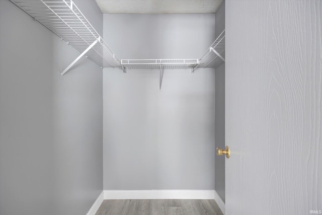 spacious closet featuring hardwood / wood-style flooring