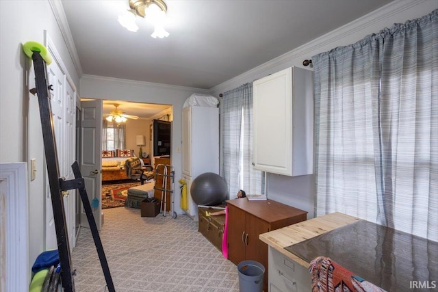 interior space featuring ceiling fan and crown molding