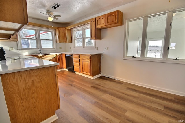 kitchen with a healthy amount of sunlight, stove, a textured ceiling, and light hardwood / wood-style flooring