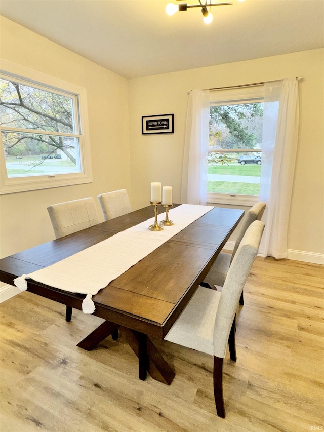 dining room with hardwood / wood-style floors and a healthy amount of sunlight