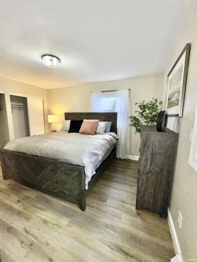 bedroom with wood-type flooring and a closet