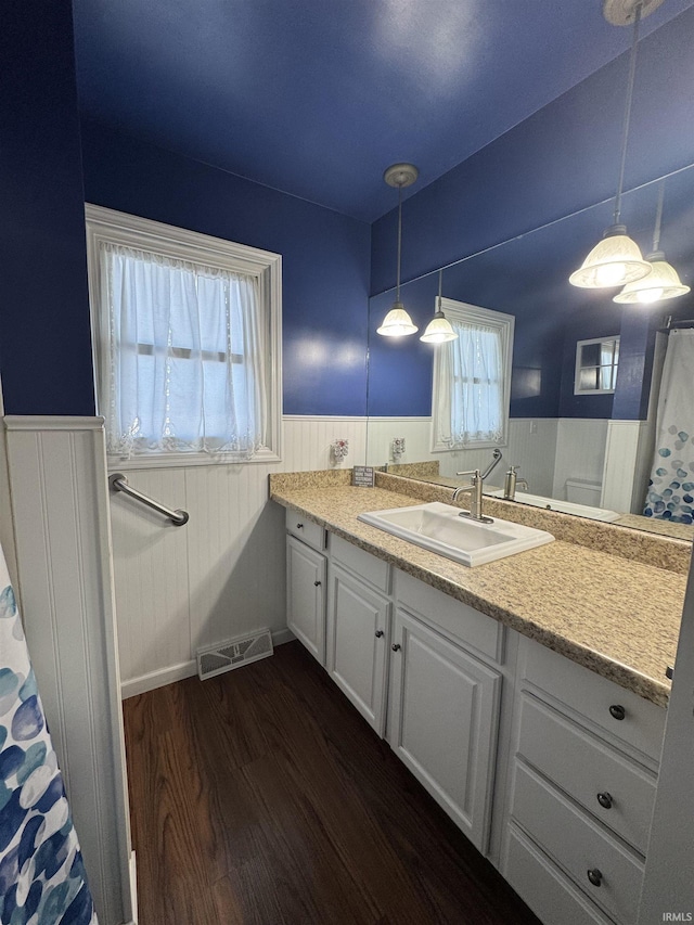 bathroom featuring vanity, hardwood / wood-style flooring, and a wealth of natural light