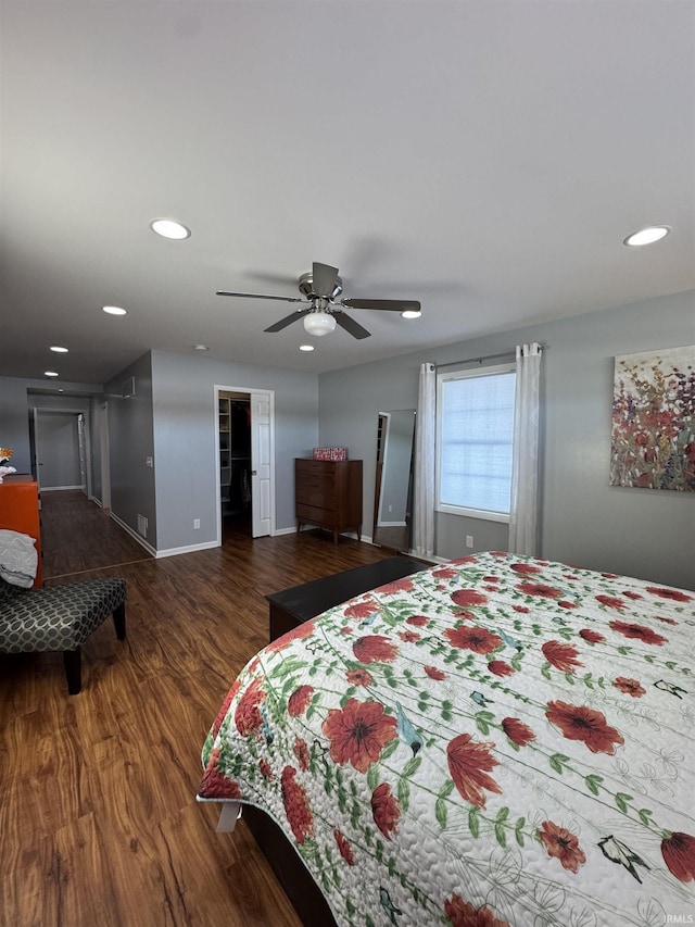 bedroom featuring a closet, a spacious closet, ceiling fan, and dark wood-type flooring