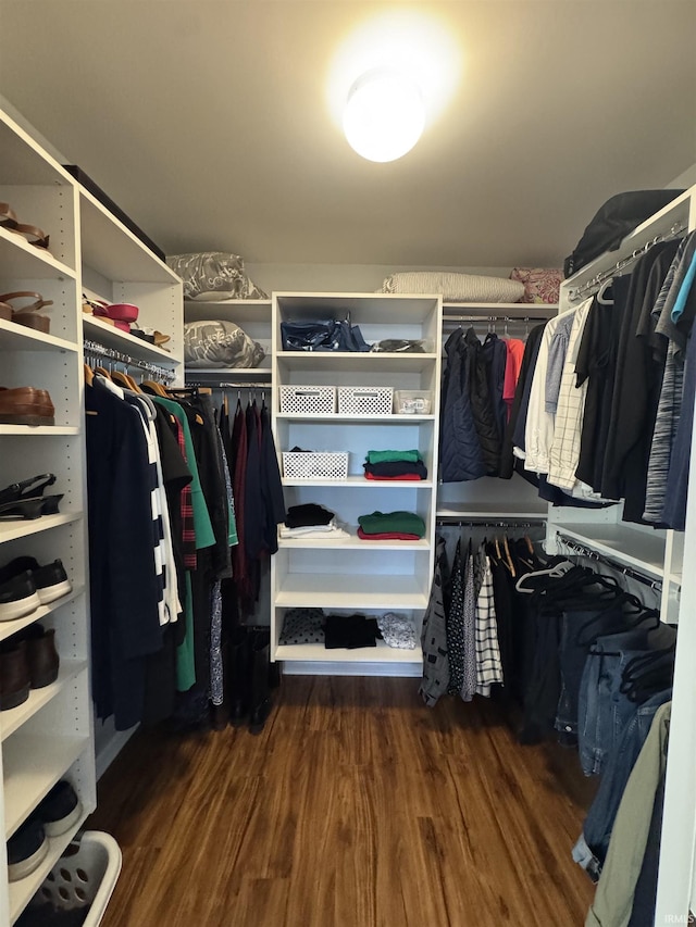 walk in closet with dark hardwood / wood-style floors