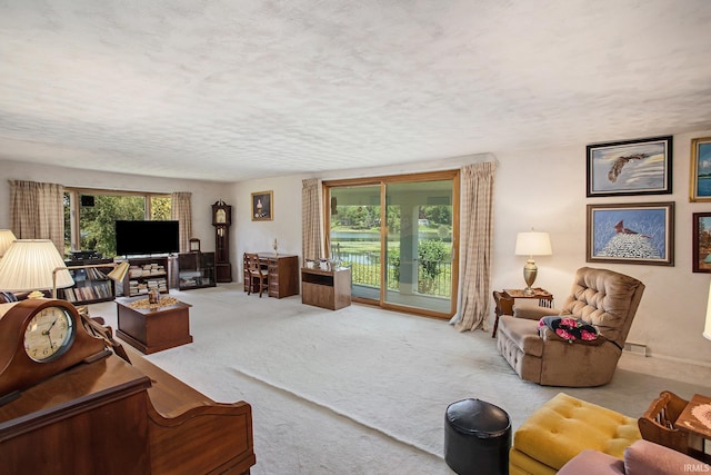 living room with light colored carpet, a textured ceiling, and a wealth of natural light