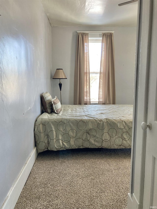 bedroom with carpet