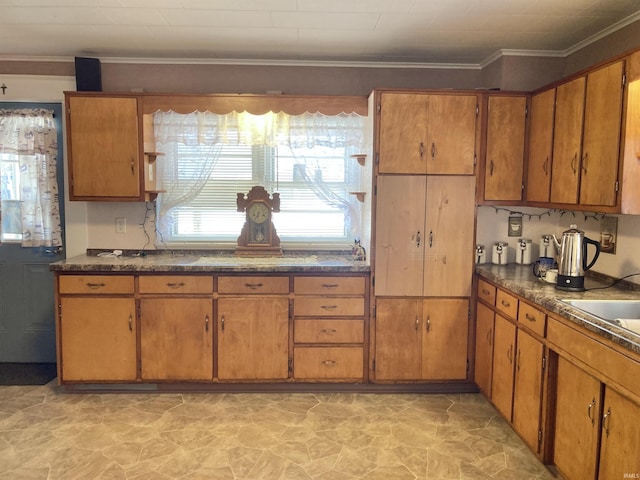 kitchen with ornamental molding and sink