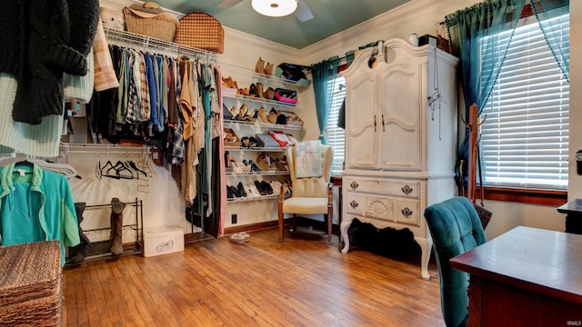 walk in closet featuring ceiling fan and wood-type flooring