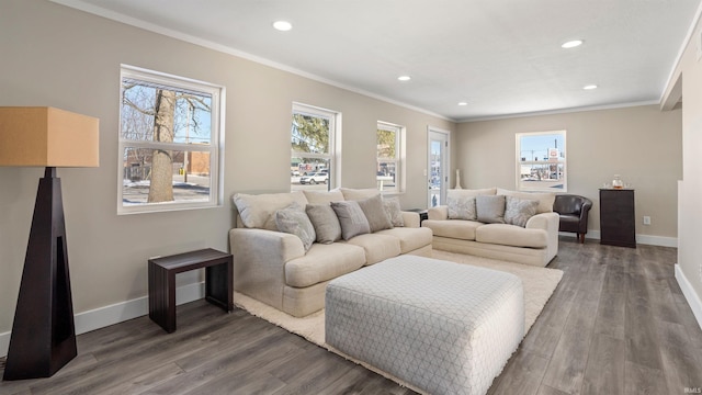 living room with dark hardwood / wood-style flooring, plenty of natural light, and ornamental molding