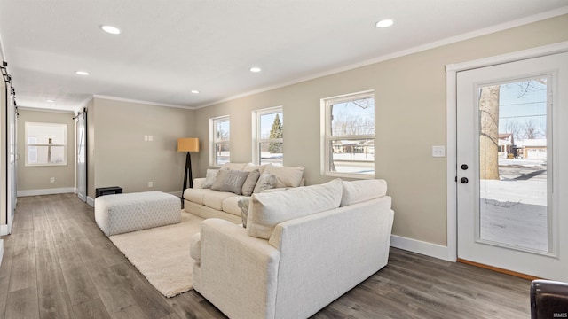 living room with ornamental molding, a barn door, plenty of natural light, and dark wood-type flooring