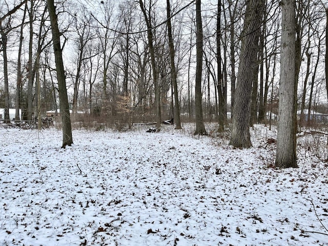 view of snow covered land