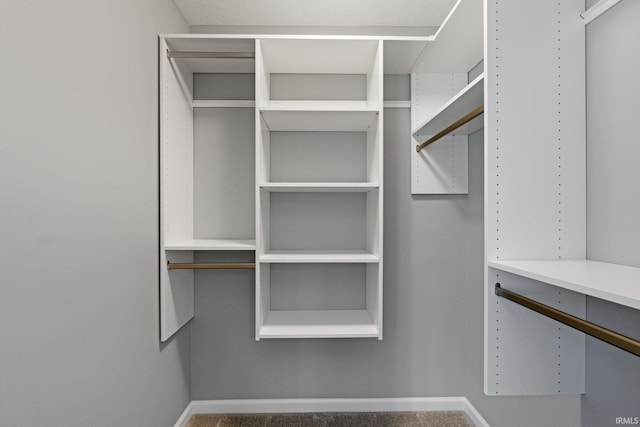 walk in closet with carpet flooring