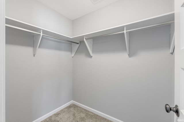 walk in closet with carpet floors