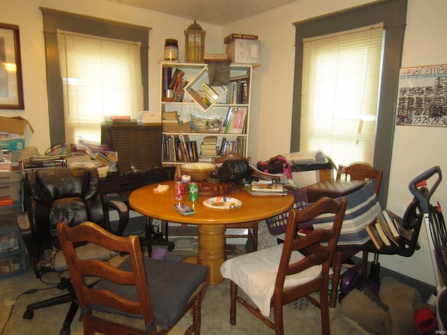 dining area featuring a healthy amount of sunlight