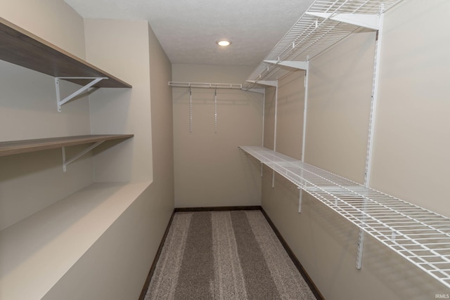 spacious closet featuring carpet flooring