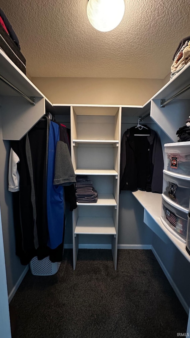 spacious closet featuring carpet flooring