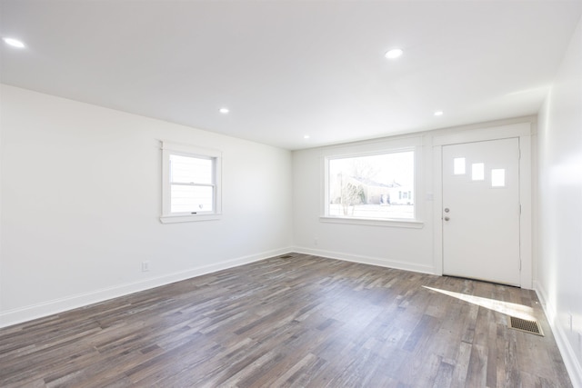 foyer entrance featuring a wealth of natural light and dark wood-type flooring