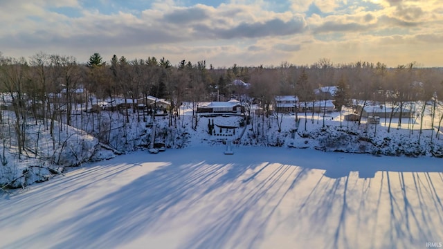 view of yard layered in snow