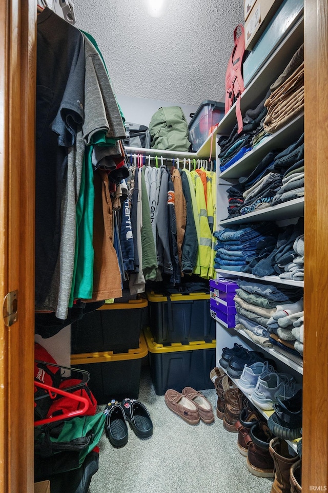 walk in closet featuring carpet