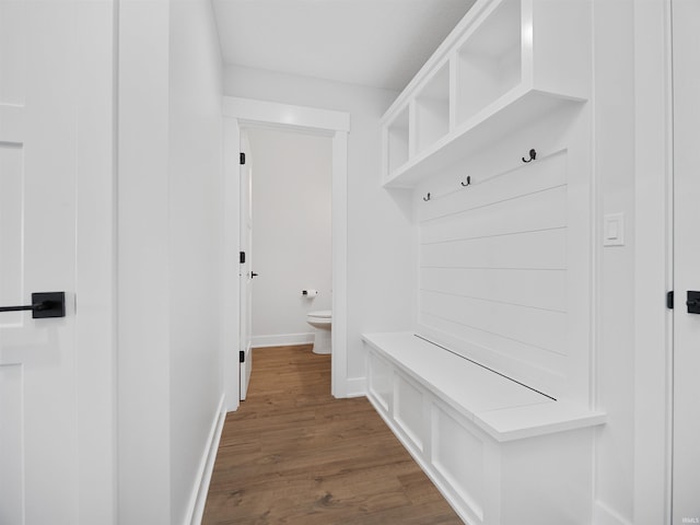 mudroom featuring dark wood-type flooring