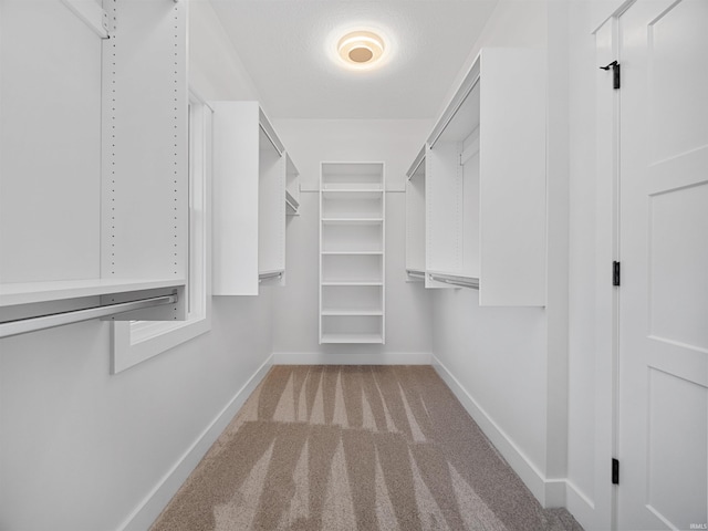 walk in closet with light carpet