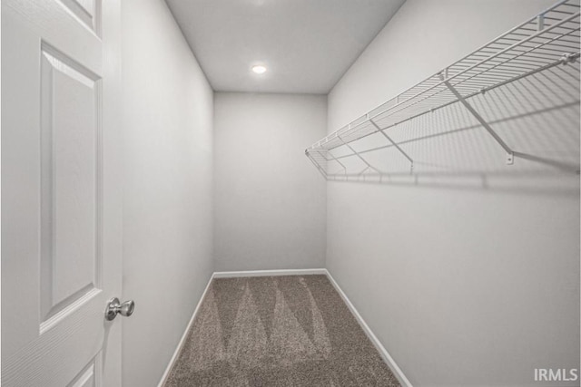 walk in closet with carpet